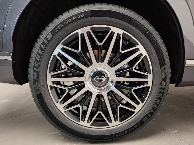 GS8 GX Premium 2.0 AT 4WD (231 л.с.) фото 11