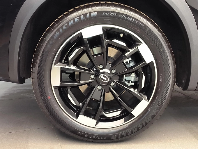 GS8 GX Traveller 2.0 AT 4WD (231 л.с.) фото 21