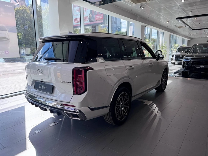 GS8 GX Premium 2.0 AT 4WD (231 л.с.) фото 5