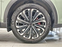 RX Prestige 2.0 AMT 4WD (249 л.с.) фото 33
