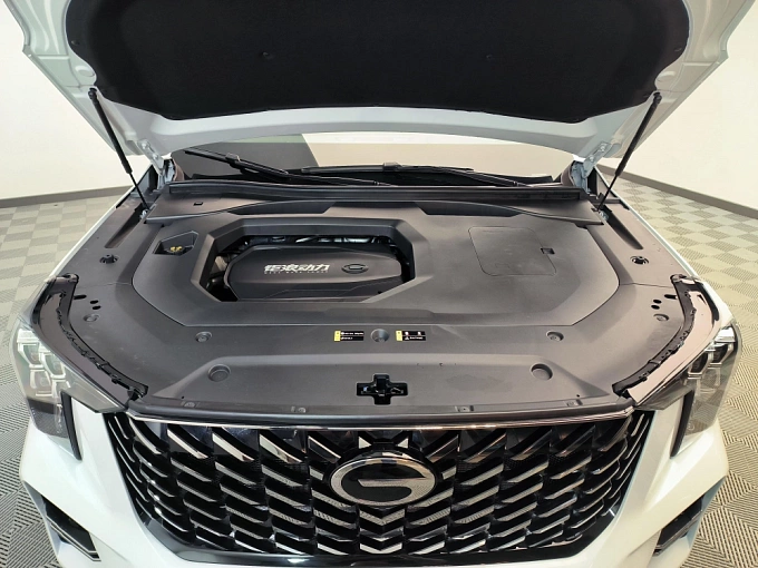 GS8 GX Premium 2.0 AT 4WD (231 л.с.) фото 21