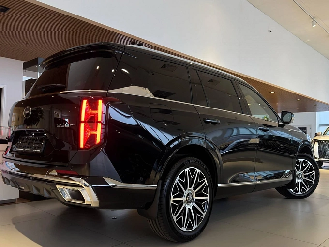 GS8 GX Premium 2.0 AT 4WD (231 л.с.) фото 2