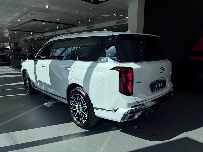 GS8 GX Premium 2.0 AT 4WD (231 л.с.) фото 3