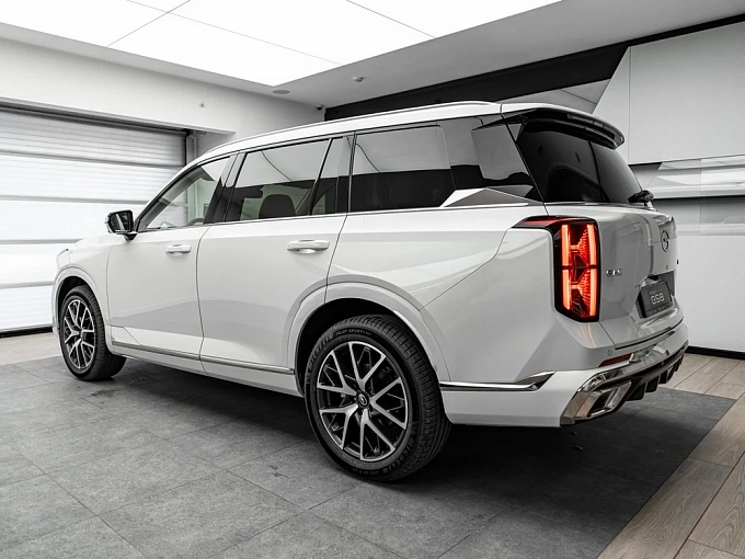 GS8 GX Premium 2.0 AT 4WD (231 л.с.) фото 3