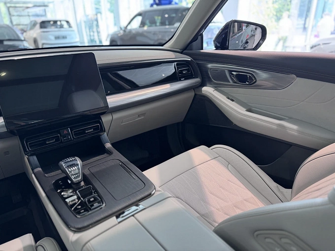 GS8 GX Premium 2.0 AT 4WD (231 л.с.) фото 14