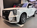 GS8 GX Premium 2.0 AT 4WD (231 л.с.) фото 1