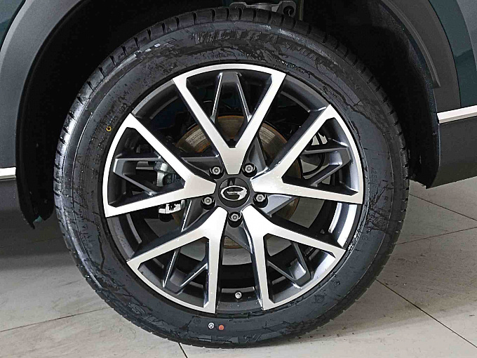 GS8 GX Premium 2.0 AT 4WD (231 л.с.) фото 23