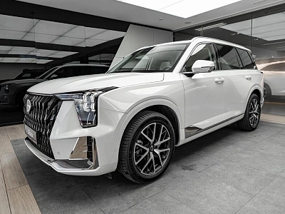 GS8 GX Premium 2.0 AT 4WD (231 л.с.)