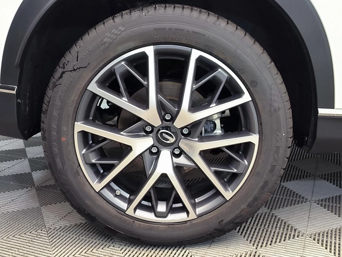 GS8 GX Premium 2.0 AT 4WD (231 л.с.) фото 18