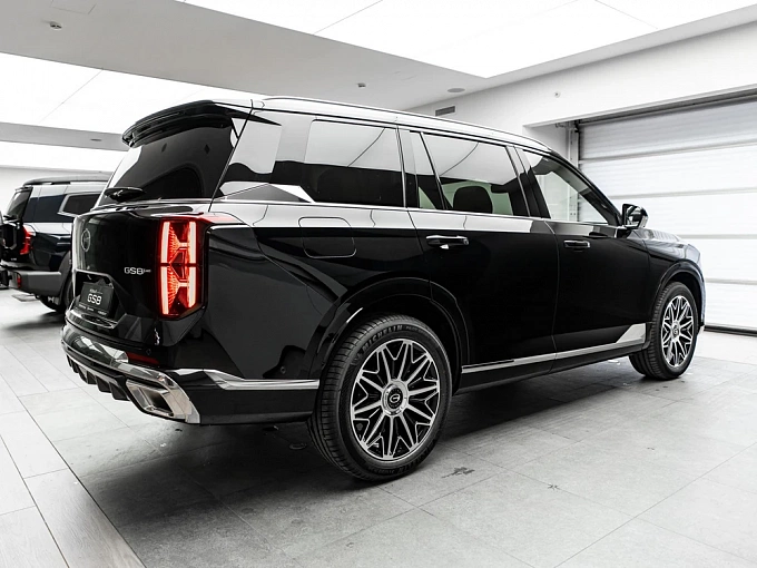 GS8 GX Premium 2.0 AT 4WD (231 л.с.) фото 5