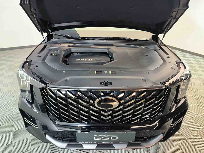 GS8 GX Premium 2.0 AT 4WD (231 л.с.) фото 27