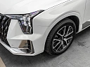 GS8 GX Premium 2.0 AT 4WD (231 л.с.) фото 11