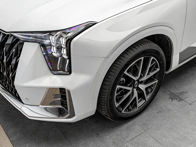 GS8 GX Premium 2.0 AT 4WD (231 л.с.) фото 11