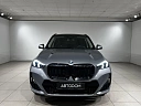 X1 XDrive25Li M Sport Package 2.0 AMT 4WD (204 л.с.) фото 5
