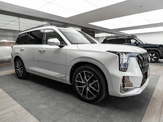GS8 GX Premium 2.0 AT 4WD (231 л.с.) фото 2